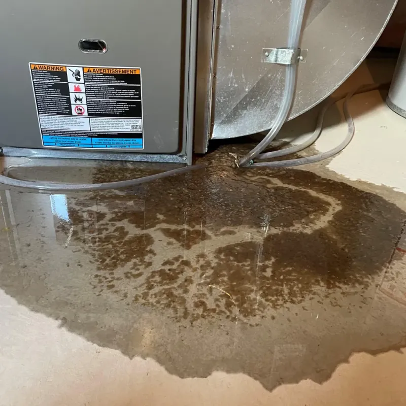 Appliance Leak Cleanup in Faribault County, MN